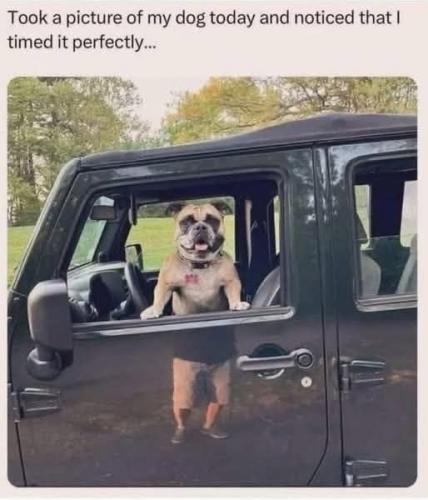 FB_IMG_1739215522161