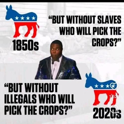 FB_IMG_1738783901416