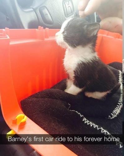 FB_IMG_1739214454711