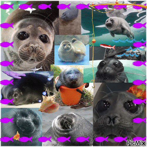 Tumblr_l_776174595667190