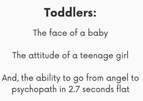 2A11B90C-512B-4075-AA04-5064BD7691B3