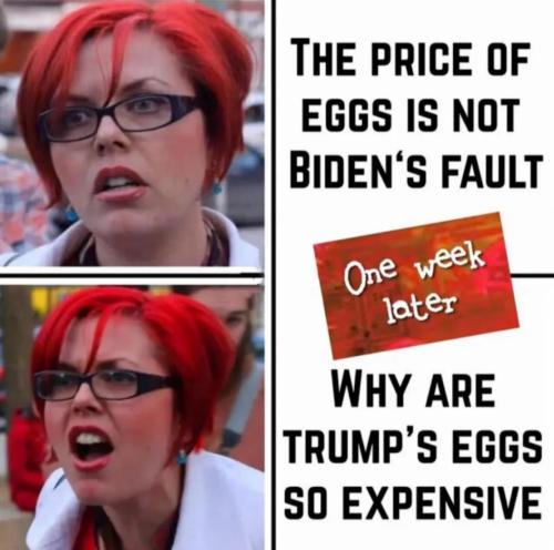 image_6B780B26-79CA-4839-A919-11348304BB1E