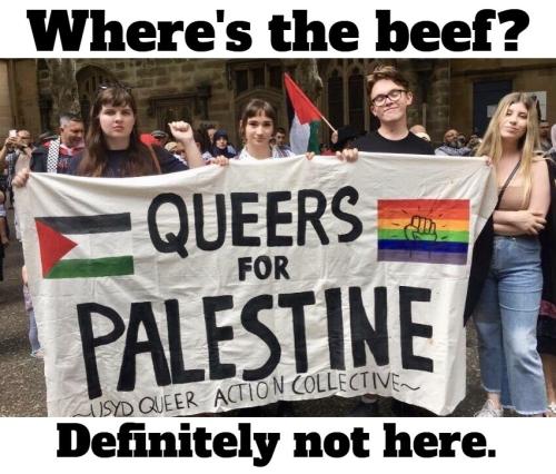 Where's the beef queers for palestine.851px