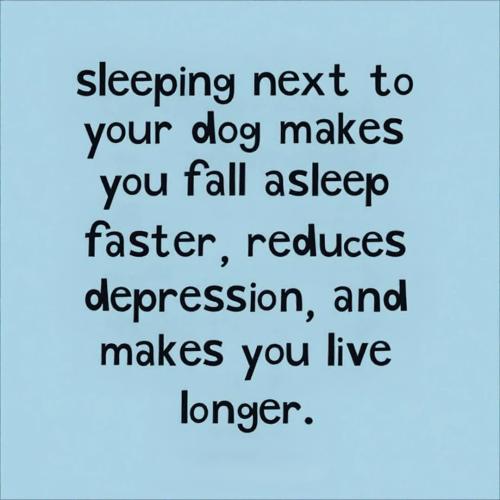 FB_IMG_1740519515388