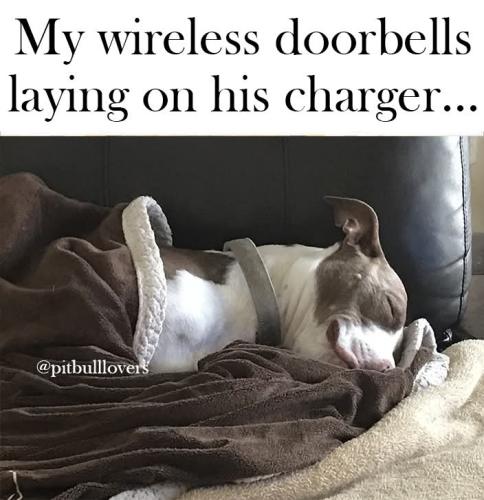 FB_IMG_1739215650009