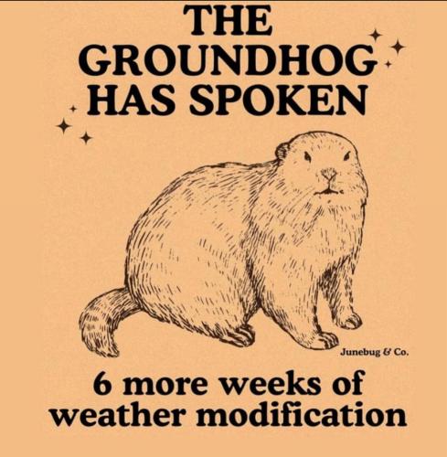 photo_2025-02-05_16-36-30