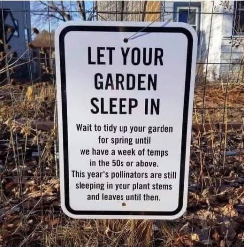 7799286E-A6AC-40DA-99CE-2C56027F32C5