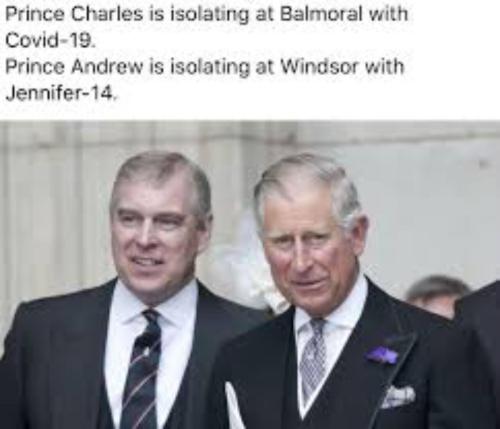 image_858AB811-738A-4192-B833-A75D466DAE7C