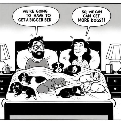 FB_IMG_1740347220457