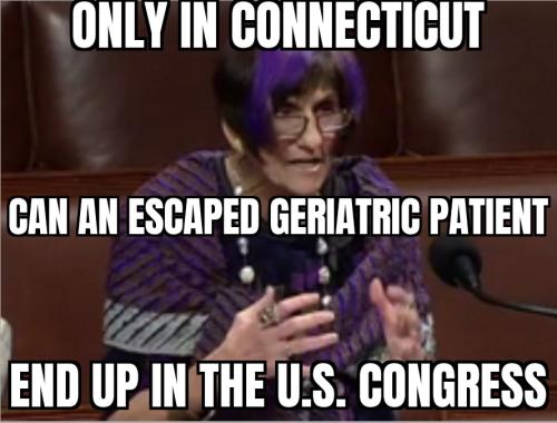 ZomboMeme 09022025080917