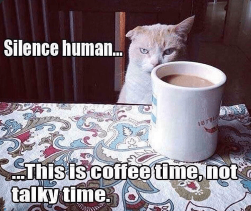 silence-human-this-is-coffee-time-not-talky-time