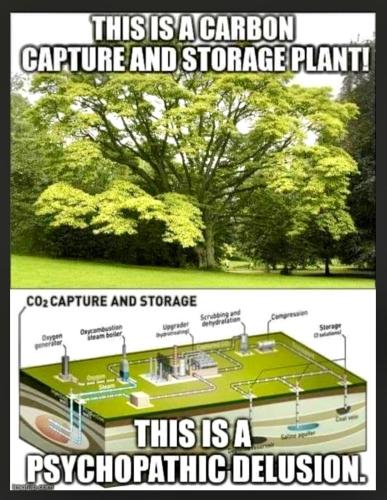 ee21d746-dba0-4cc8-adc7-4655a97ba8fc