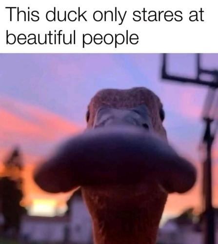 IMG_20250211_112423_169