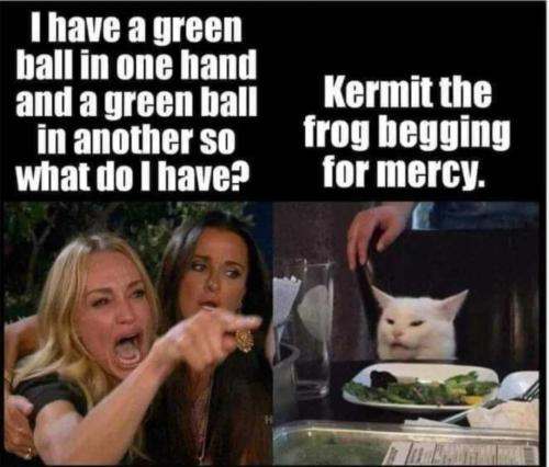 Screenshot_20250211-134741_Brave