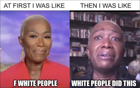joy reid02