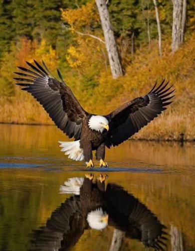 17:41:02 GMT-0600 (CST)