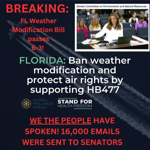 photo_2025-02-11_20-10-46