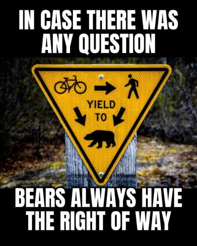 51A11F1B-F3C0-4ECB-885B-F24CA26AB3B2