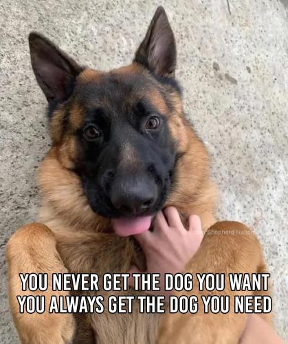 FB_IMG_1740653454679