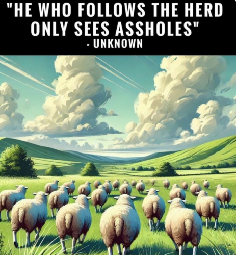 image_2025-02-22_084708325