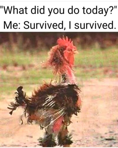 Screenshot_20250207_092702_Facebook