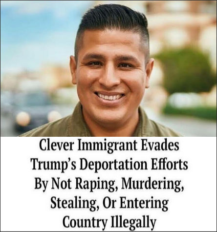 illegal immigration508