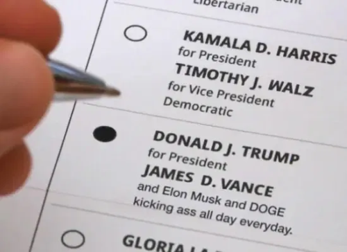 image_2025-02-17_084206863