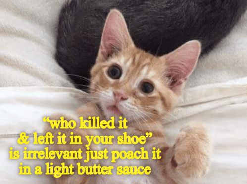 604c8dfeaeecd7d59805d306cf026cf4