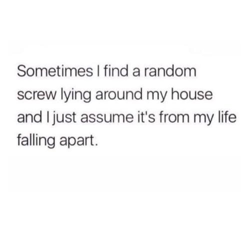 FB_IMG_1739486153683