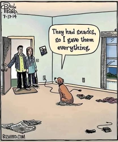 FB_IMG_1738686594698