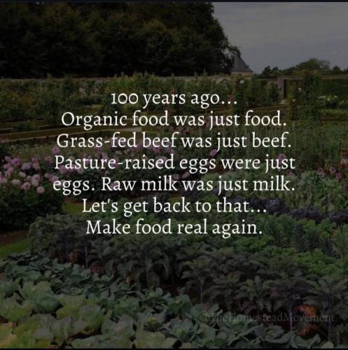 IMG_20250204_111306_535