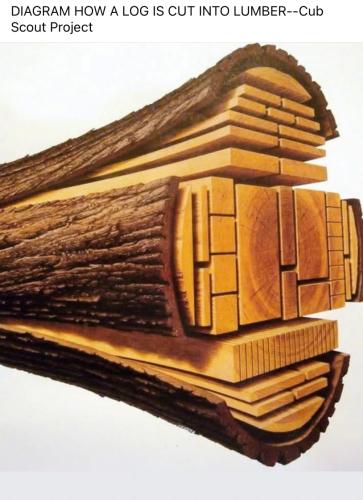 1FEE904D-634C-46F9-B668-40D2D89E016C