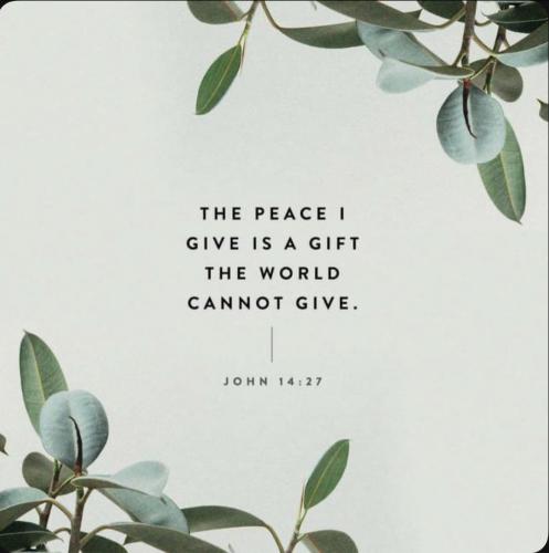 480697549_9006224216155263_8002894680287175952_n