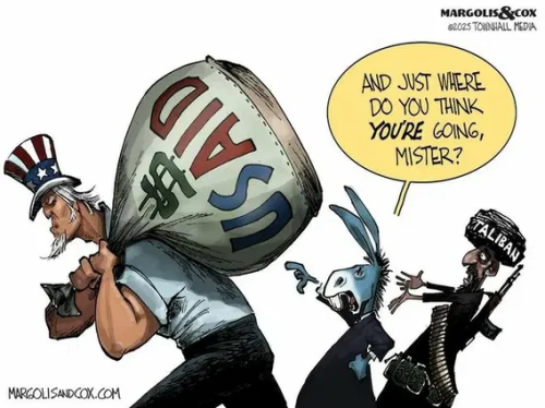 image_2025-02-13_064929708