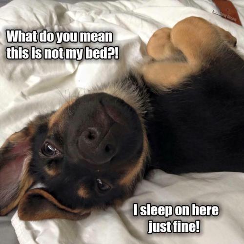 FB_IMG_1739400994884