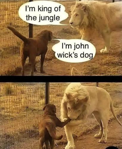 282A210A-B636-46A2-87C9-AFE94F587804