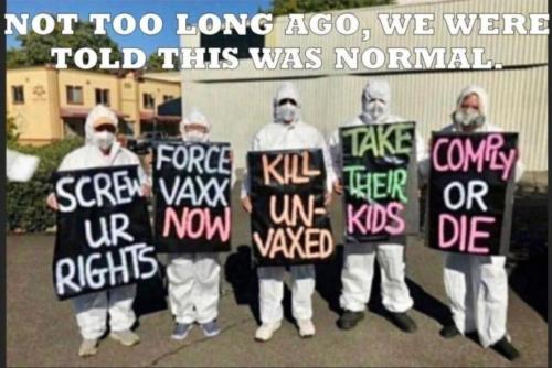 image_F991DFA3-D0C2-41CE-ADB5-BD408C62FD04