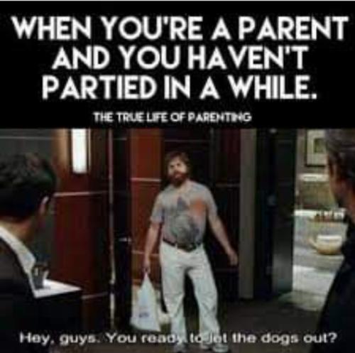 Screenshot_20250206_144934_Gallery