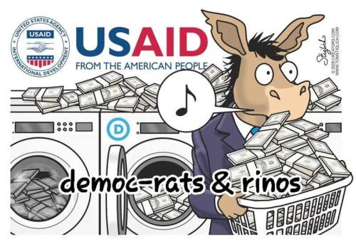 USAID is just another money pit