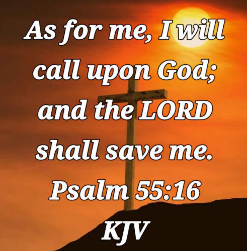 61feea8a-4b85-4674-b14d-0c89d379e573