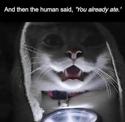 20250216_141128