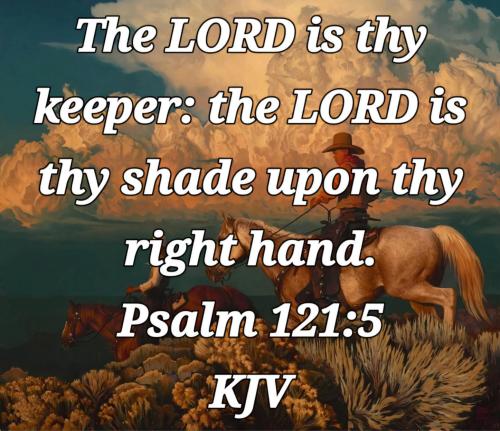 da59c898-9755-4b85-83e2-2fbfe3e35a24