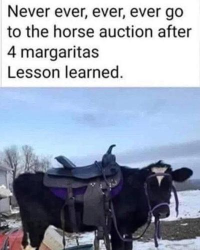 FB_IMG_1740347190370