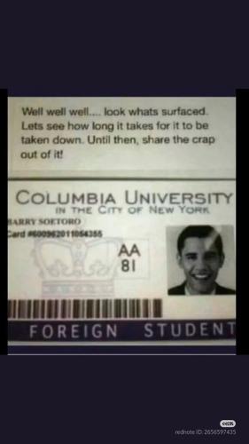 Camera_XHS_17402543501401040g2sg31e6hh7st108g5o2qitjg9dfoctajpu0