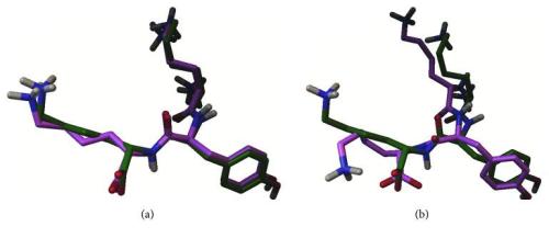 PRO LIGAND SPIKE