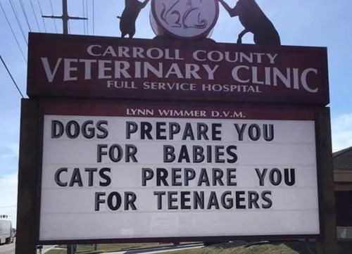 BF774417-DEAF-43C9-B937-9EAD6D88A445