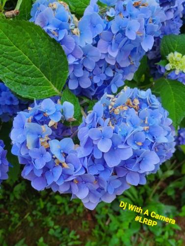 Screenshot_20250129_075210_Gallery