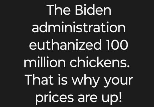 photo_2025-01-31_18-54-36