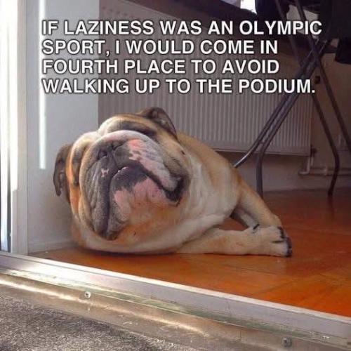 FB_IMG_1739651240974