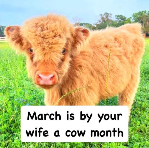 FB_IMG_1740500493907